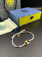 اسوارة توري بورش