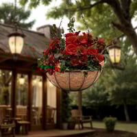 سلال تعليق نباتات داخلية وخارجية مناسبه للطيور داخ...