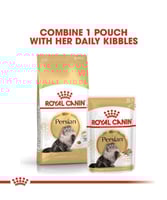 رويال كانين "بيرشن" طعام جاف للقطط البالغة القطط ا...