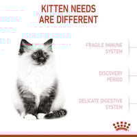 رويال كانين "كيتن" طعام جاف للقطط الصغيرة Royal Ca...