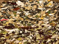 آر ام الأحمر أكل مشكل للبغاء الافريقي ، الامازوني...