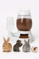 وعاء تغذية ذاتية موزع طعام - مأكلية ومشربية للقطط...