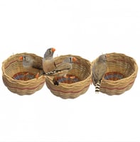 عش الزيبرا والكناري سلة طيور من الخزف العدد 2 - ال...