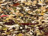 آر ام الأحمر أكل مشكل للبغاء الافريقي ، الامازوني...