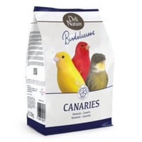 اكل كناري مشكل بلجيكي ديلي نيتشر Deli Nature Canar...
