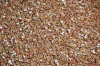 فارما فريندز طعام طيور البادجي والببغاوات الصغيرة...