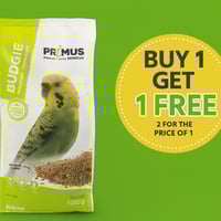 بينلوكس بريموس خليط مشكل من الحبوب للبادجي BENELUX...