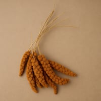 حبوب عناقيد الدخن طبيعي للطيور – غذاء صحي ولذيذ لل...