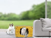 بيت خشبي للقطط - بيت للقطط - خداشة قطط