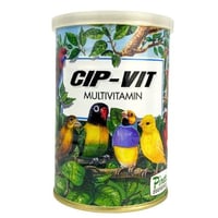 بينتا سيب فيت مالتي فيتامين Cip-Vit vitamin