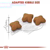 رويال كانين "كيتن ستيرلايزد" طعام جاف للقطط الصغير...