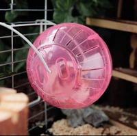 عجلة هامستر مع ستاند - كرة اللياقة للهامستر (حجم م...