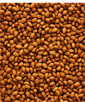 فيرسل لاقا اوريجنال طعام البراكيت - حبيبات باليتس...