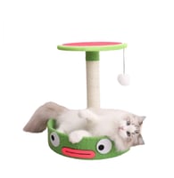 خداشة قطط نمط البطيخ بتصميم مريح وجذاب - حجم متوسط