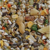 مانيتوبا غذاء الببغاوات الاستوائية كبيرة الحجم - ا...