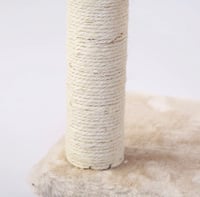 خداشة قطط من القطيفة - حجم صغير