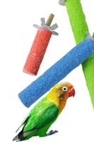 مجثم مبرد حجم متوسط مناسب لطيور ال روز كروان كناري...