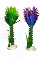 شجر حوض سمك