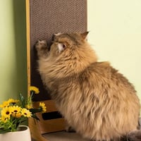 لوحة خدش جدارية ذات جانبين مع كرة بلاستيك - العاب...