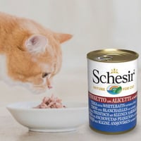 شيزر معلبات التونه مع صغار السمك (سمك الأنشوفه) في...