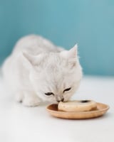 شيزر صحن سمك التونة والدجاج مع الجمبري في الموس 2x...