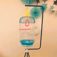 قفص مع استاند الطيور الصغيرة