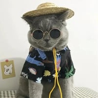 نظارة ملونة لجلسات التصوير وحفلة يوم الميلاد - الا...