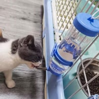 مشربية بالتنقيط - 80 ml - ألوان متعددة