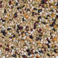 ديلي ناتشر خليط منقوع بلجيكي للطيور والببغاوات 1 ك...