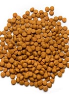 غذاء يومي للببغاوات عالي الطاقة - غذاء الكاسكو من...