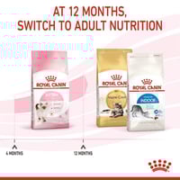 رويال كانين "كيتن" طعام جاف للقطط الصغيرة Royal Ca...