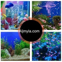 حجر هوى فقاقيع الاكسجين دائري كريستال