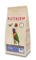 لوري بيرلز من سيتاكوس PSITTACUS LORY PEARLS