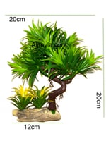 شجر حوض سمك