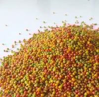 آر ام زوبريم الببغاء فواكه مجففة - طعام الطيور الص...