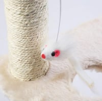 خداشة قطط من القطيفة - حجم صغير