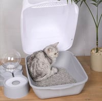 ليتر بوكس مغلق مع باب شفاف ومجرفة اضافية - حجم كبي...