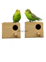 حضانة طيور خشبية بياضة بادجي روز تعليق مع باب علوي...