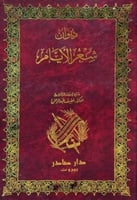 ديوان شعر الأيام