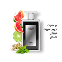 لودر اسكانت هوم 100 مل