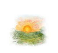 إثيوبيا - هامبيلا | Ethiopia - Hambela جرام 250