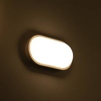 انارة خارجي بيضاوي 22W