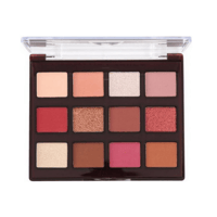 ظل عيون من اميتس جاردن 12 لون - 12 جم