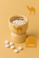 مبخر للسعوديين