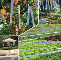 شريط طارد الطيور