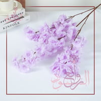 موف فاتح