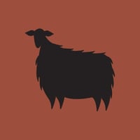 ربع ذبيحة - غنم بربري