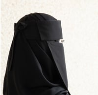 عرض 3 نقابات أسلامي