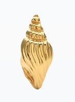 Gold Conch