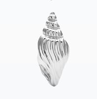 Silver Conch